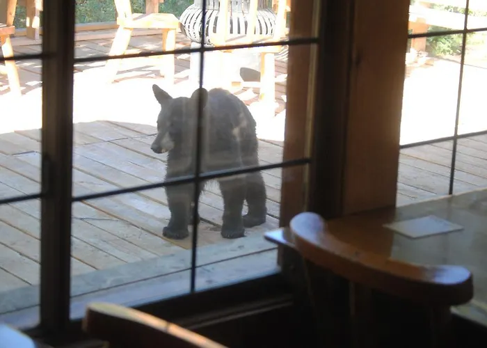 Lodge Medicine Bow *