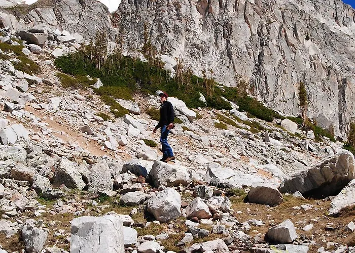 Medicine Bow Lodge *