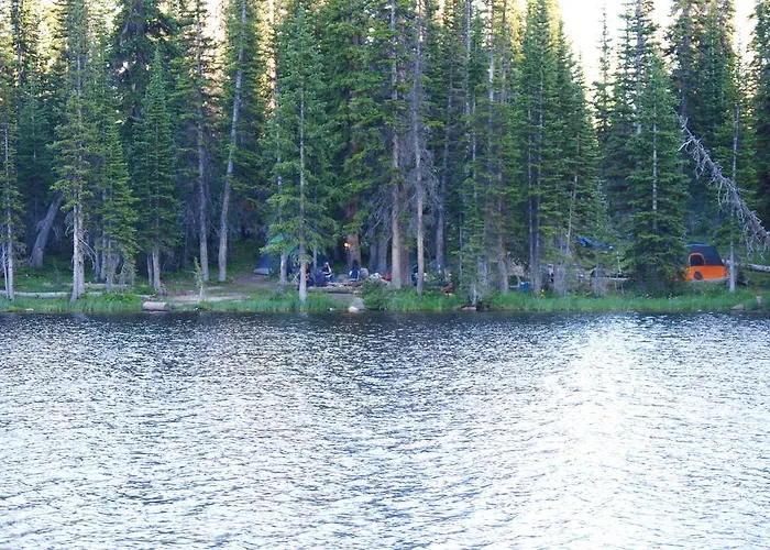 Medicine Bow *