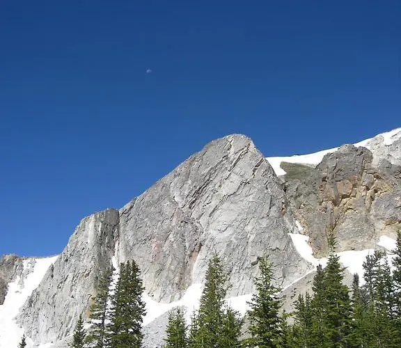 Medicine Bow *