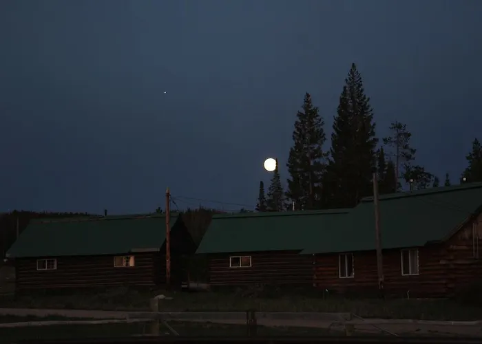 Medicine Bow