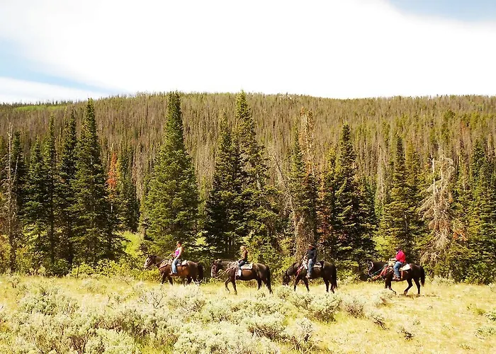 Medicine Bow * Tenmile