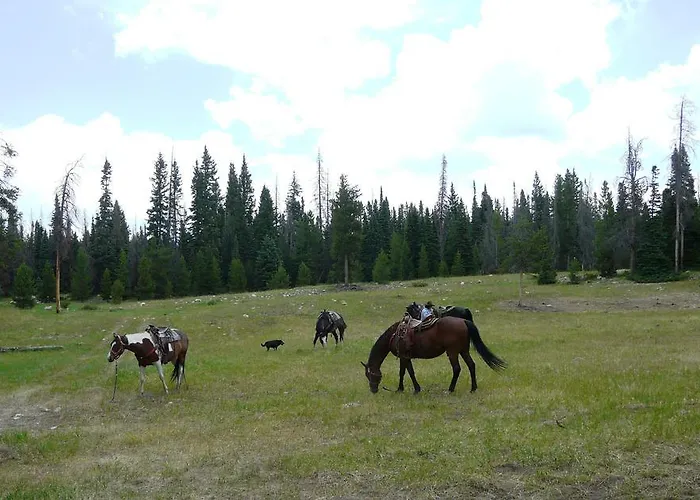 Medicine Bow *